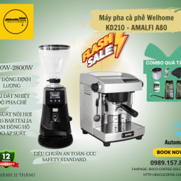 COMBO Máy Pha Cà Phê Espresso WELHOME KD210 WPM - MÁY XAY TỰ ĐỘNG AMALFI A80