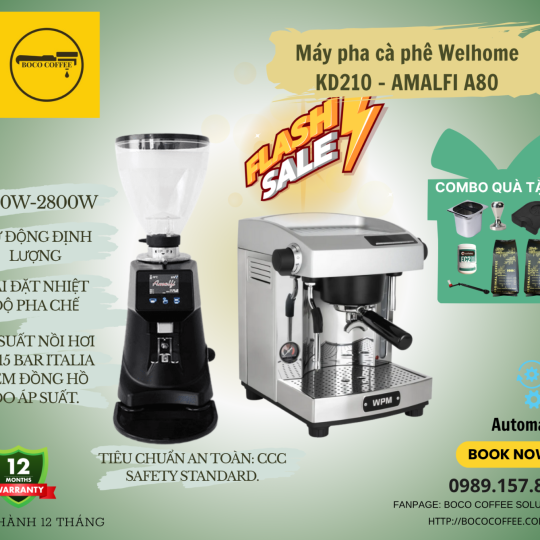 COMBO Máy Pha Cà Phê Espresso WELHOME KD210 WPM - MÁY XAY TỰ ĐỘNG AMALFI A80