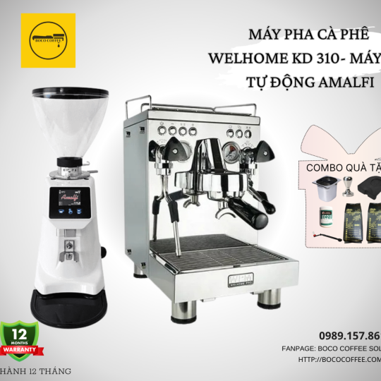 COMBO Máy Pha Cà Phê Espresso WELHOME 310 WPM - MÁY XAY AMALFI A80